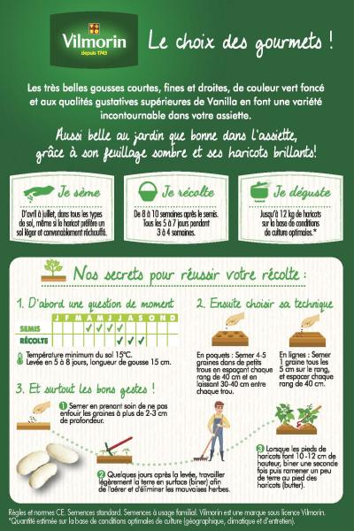 Légumes Secs - Haricot Nain Vert Vanilla - 20 m - MEDIA_PACKAGING_VERSO